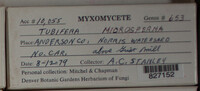 Image Associated With the Occurence